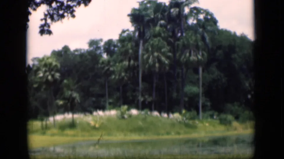1946 Bombay 8mm view across water toward palms, a light-toned bank or path, and thick greenery.
