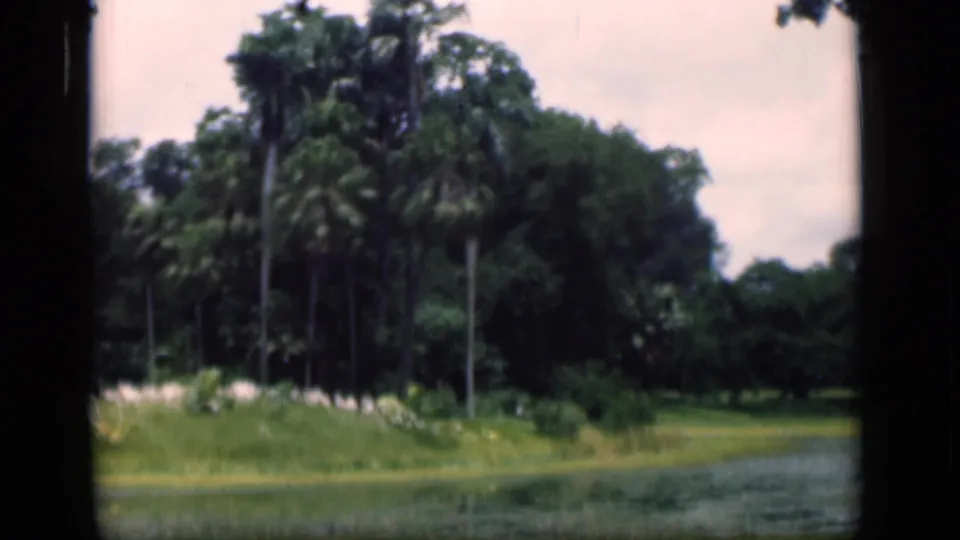 1946 Bombay home-movie view of tropical palms, bushes, grass, and water in a softly focused 8mm frame.
