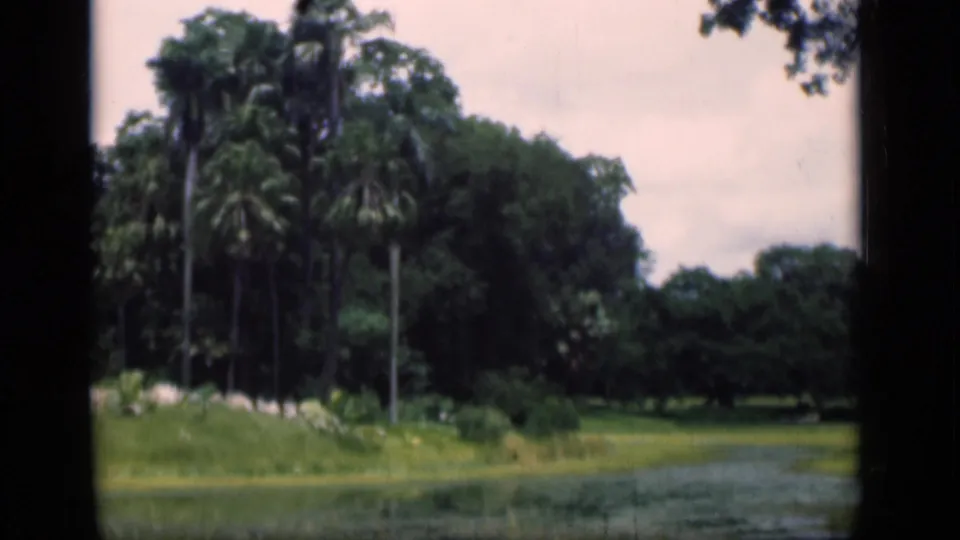 1946 Bombay frame showing dense tropical trees, palms, grass, and water with visible 8mm gate-like borders.