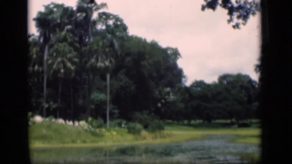 1940s 8mm view of a landscaped pond with palms, grass, and wooded grounds in the supplied Bombay, India clip.