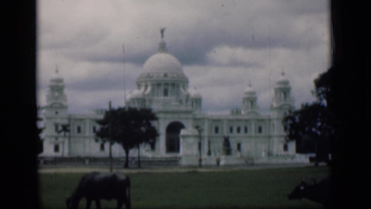 1940s 8mm view of the Victoria Memorial across a green lawn, with cloudy sky and water buffalo in the foreground.