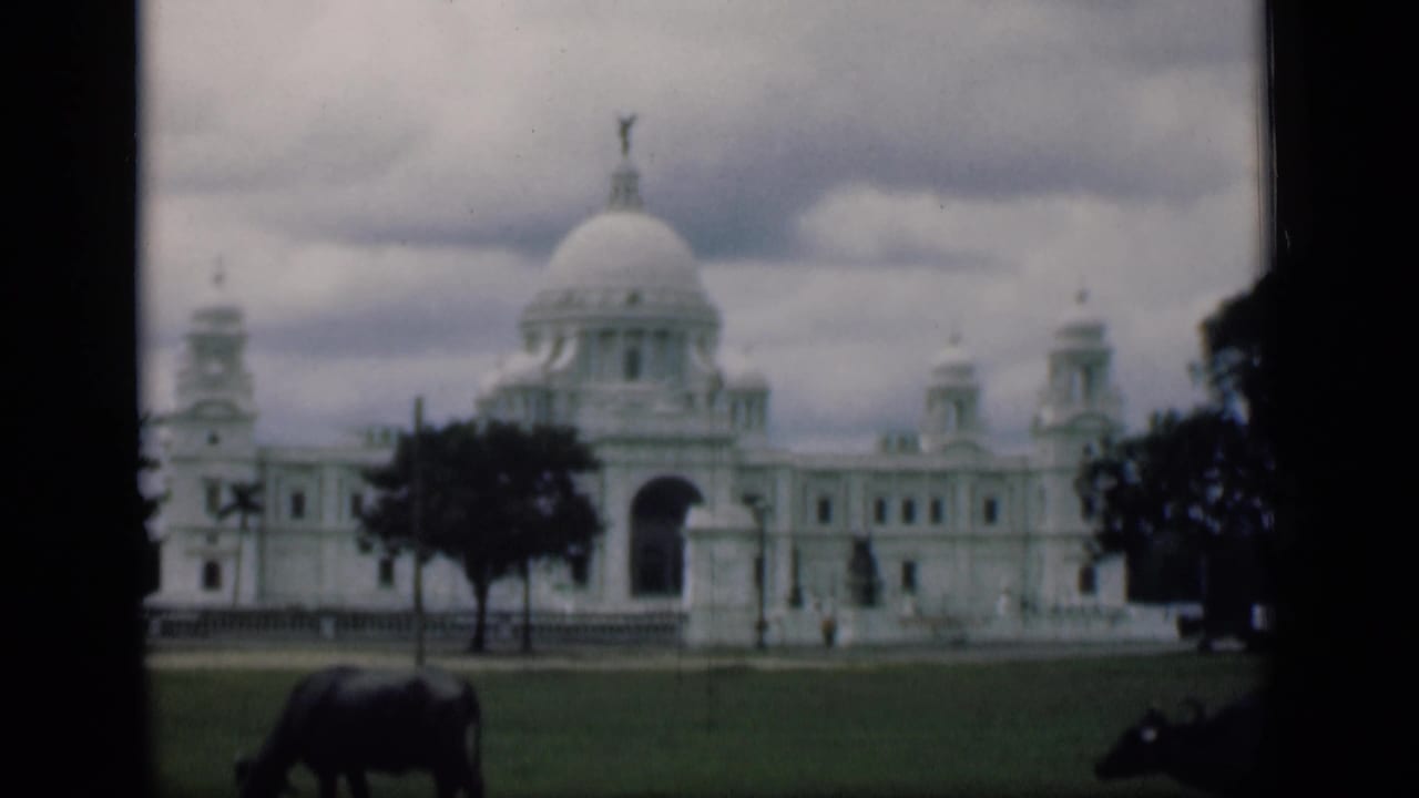 White domed landmark with trees and grazing buffalo on the lawn below.