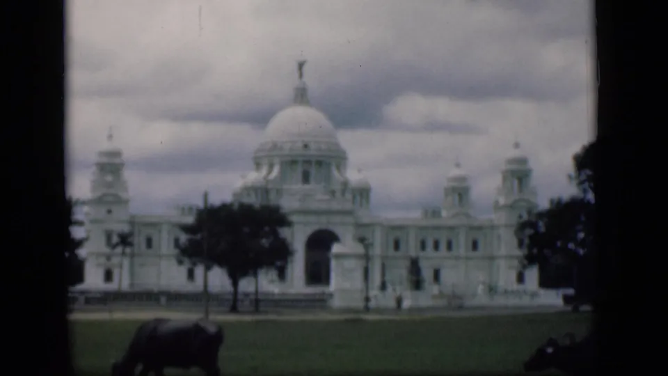 Soft-focus 1940s India home-movie frame showing the Victoria Memorial behind a lawn with grazing water buffalo.