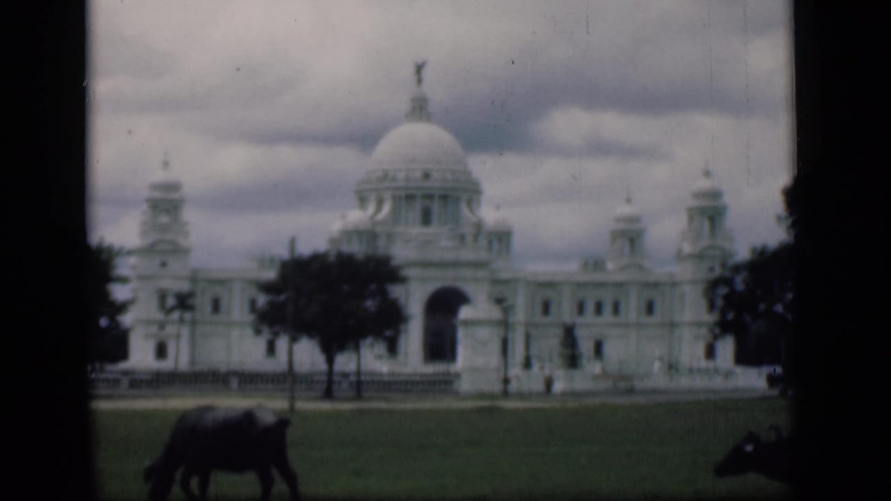 White domed building beyond a lawn with grazing buffalo under a cloudy sky.