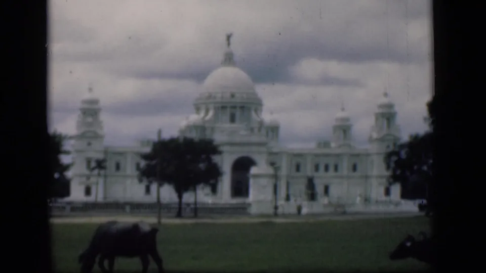 1946 Bombay home-movie frame showing a white domed landmark beyond lawn, trees, and grazing buffalo.