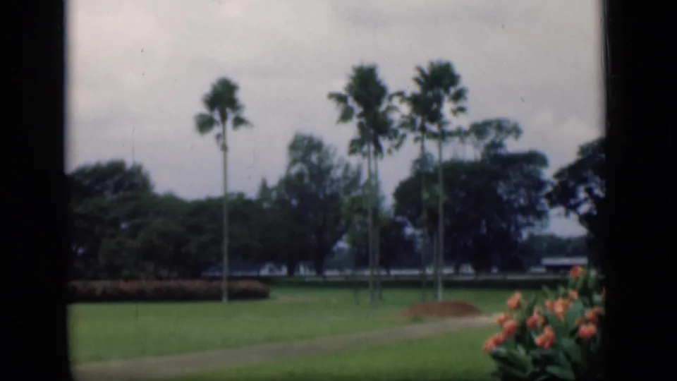 1946 Bombay home-movie frame focused on a garden lawn with palms, path, flowers, and distant trees.