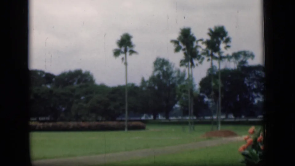 1946 Bombay garden scene with palm trees, a lawn path, flowering bed, and soft 8mm color texture.