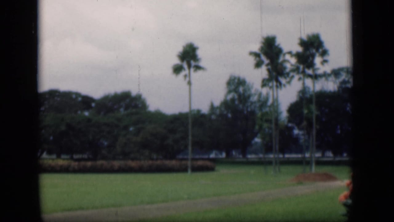 Green park lawn with palm trees, hedges, and dark film-frame borders.