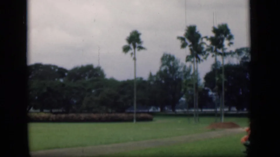 1946 Bombay home-movie view of a green park lawn, palms, hedges, and cloudy sky seen from a moving vehicle.