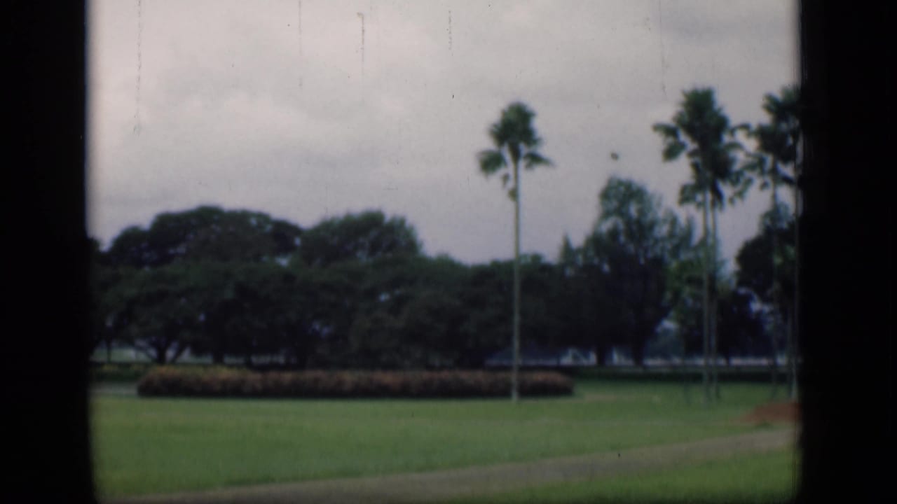 Palm trees and a hedge border a broad lawn under an overcast sky.