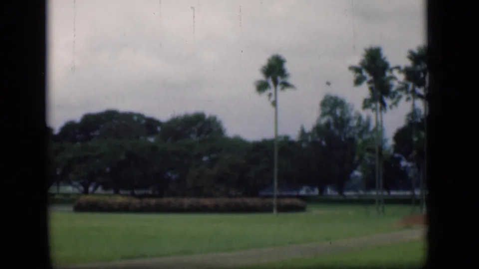 1946 Bombay travel-view frame showing palms, open grass, hedge planting, and dark roadside foliage under cloudy sky.
