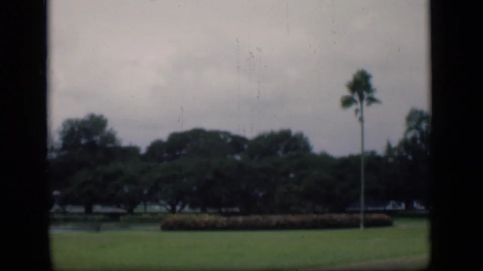 1946 Bombay home-movie frame showing a landscaped lawn, single prominent palm, hedge, and tree line from a passing vehicle.
