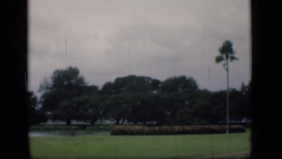 1946 Bombay home-movie frame showing a lawn, pond edge, mature trees, and a tall palm under cloudy sky.