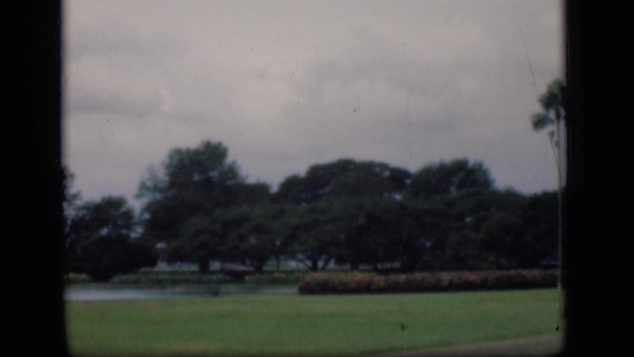 Park lawn and pond with hedges and trees seen through dark frame borders.