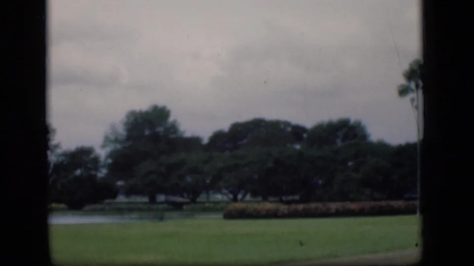 1946 Bombay park view with grass, a small pond, low hedging, and dense trees beneath an overcast sky.