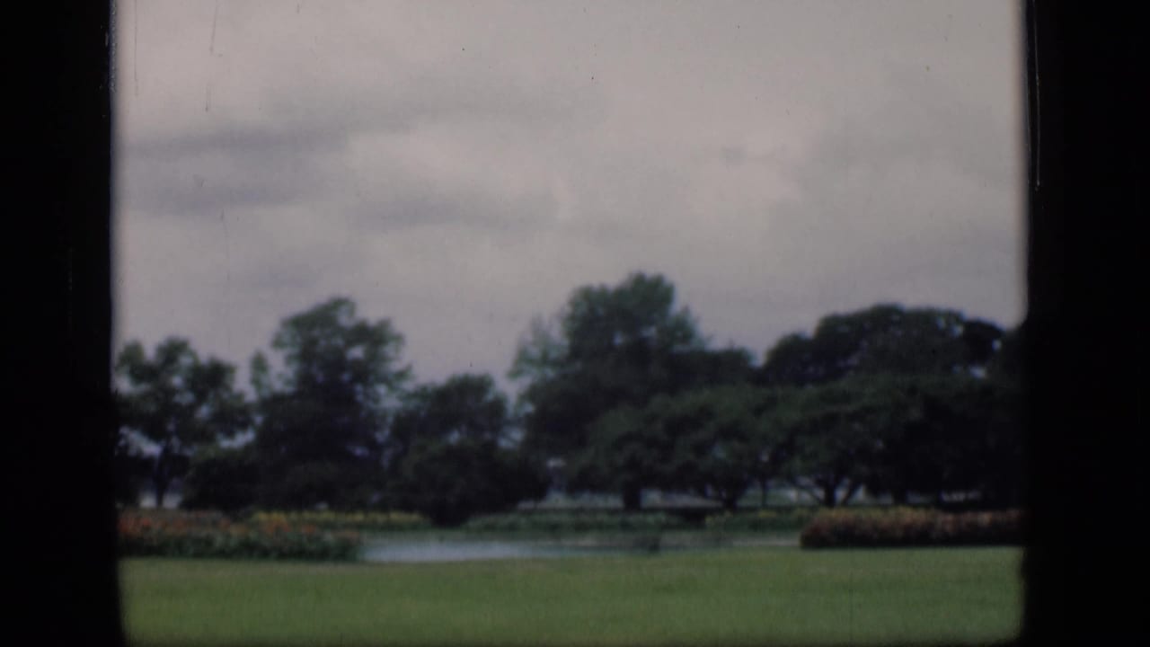 Green lawn, pond, flowerbeds, and trees seen through dark film borders.