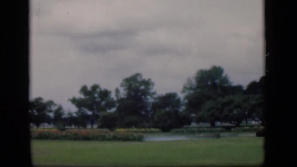A soft 1946 Bombay garden frame with lawn in front, a water feature, low flowerbeds, and tree cover beyond.