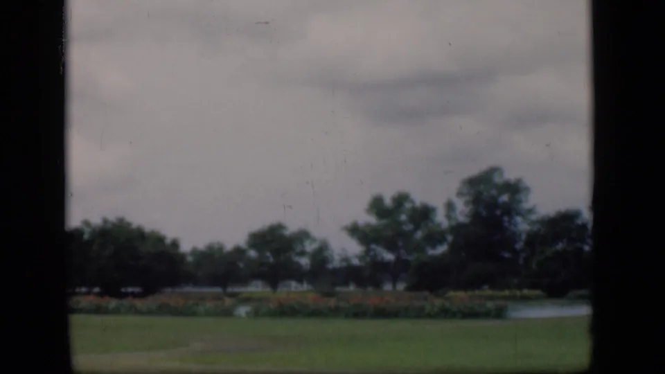 Soft 8mm footage shows a Bombay park landscape with grass in front, flowering bushes, trees, and lake water behind.