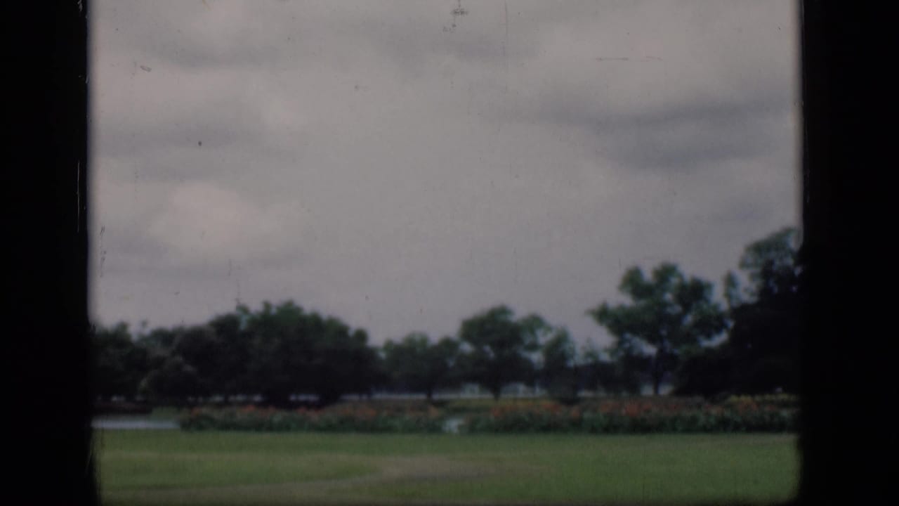 Cloudy sky over a grassy field with trees and landscaped planting.