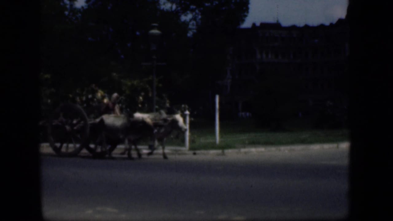 Oxen pull a wooden cart across a road with trees and a building behind.