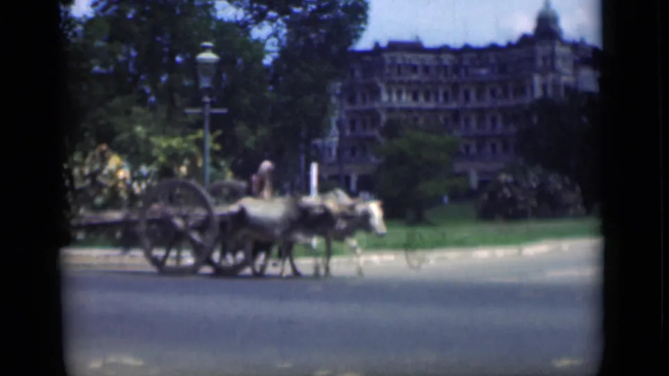 1946 Bombay footage shows an ox cart and driver crossing the road near a streetlamp and landscaped grounds.