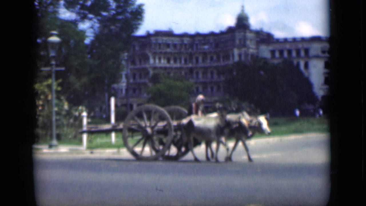 1946 Bombay home-movie frame showing a handler guiding an animal-drawn cart past trees, lampposts, and a large colonial-era building.