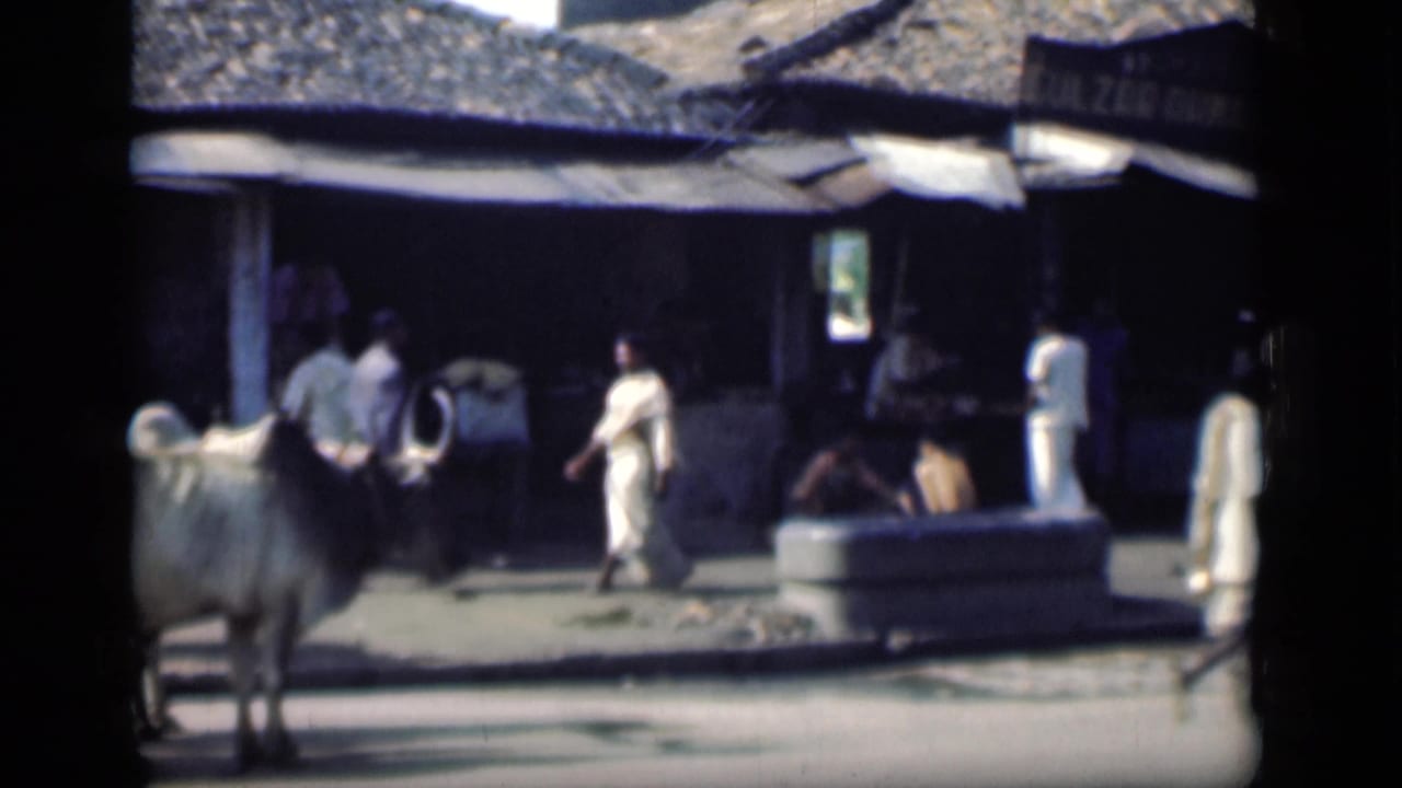1946 Bombay street view with white oxen, pedestrians, and a shaded storefront in bright sunlight.