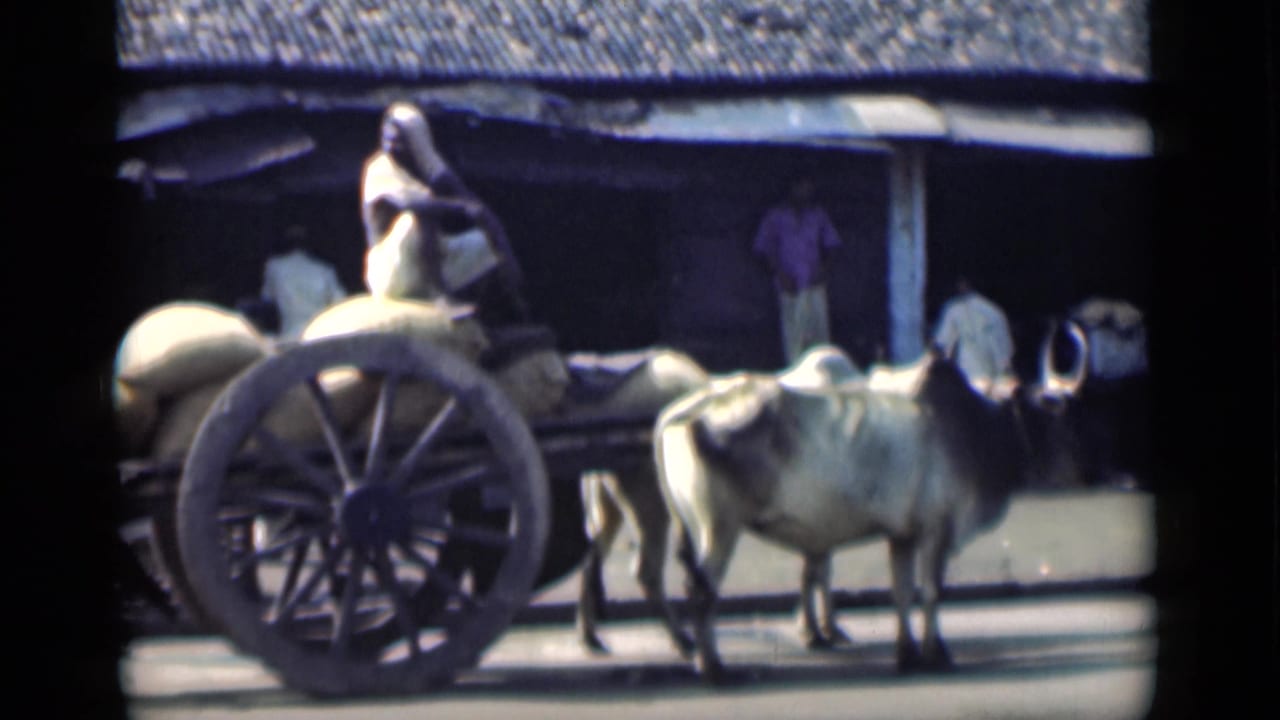 1946 Bombay street view with two oxen pulling a wooden cart loaded with sacks as a seated driver rides above the cargo.