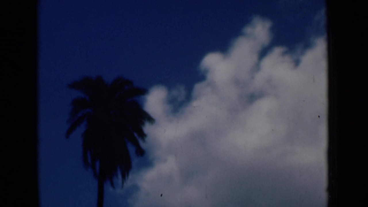 Palm tree silhouette against blue sky and white clouds.
