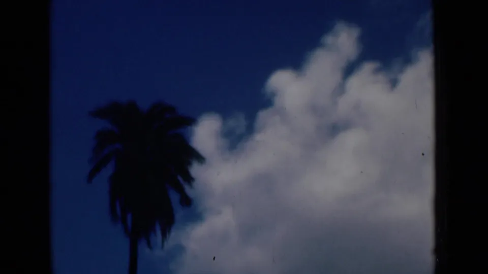 1946 Calcutta home-movie frame showing a dark palm silhouette beside bright clouds in a deep blue sky.