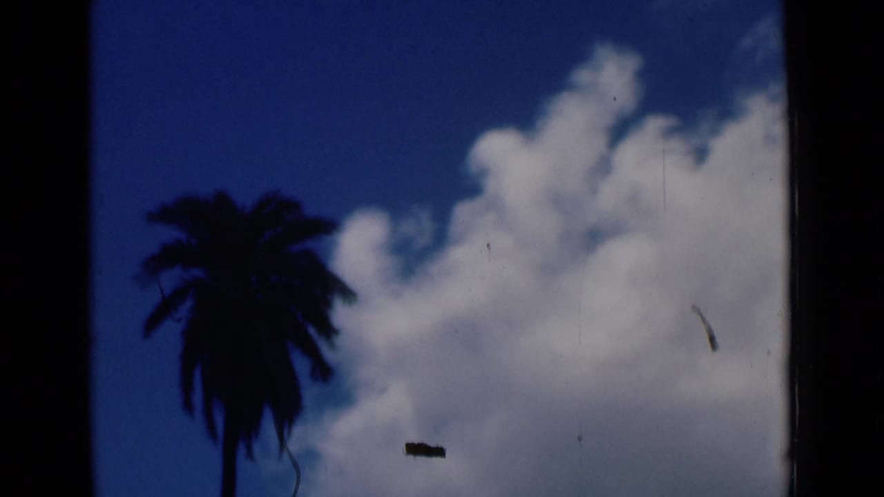 Palm silhouette and large white clouds with visible film dust.