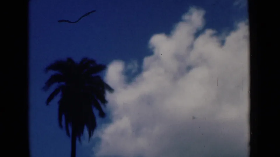 1946 Calcutta 8mm frame with a silhouetted palm, bright cumulus clouds, blue sky, and minor film wear.