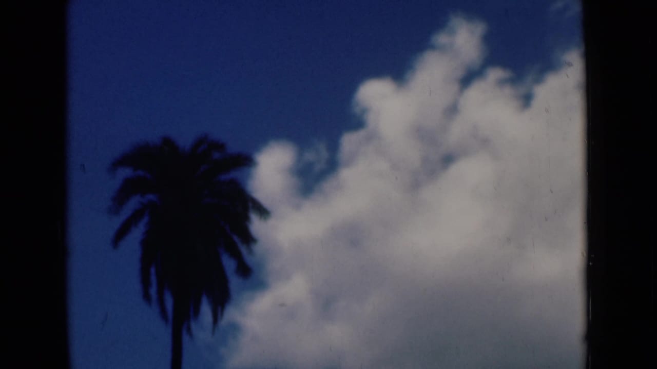 1946 Calcutta home-movie frame showing a dark palm silhouette against deep blue sky and bright white clouds.