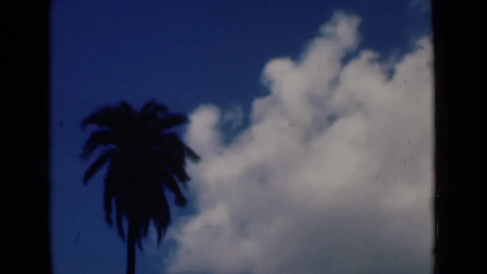 1946 Calcutta home-movie frame showing a dark palm silhouette against deep blue sky and bright white clouds.