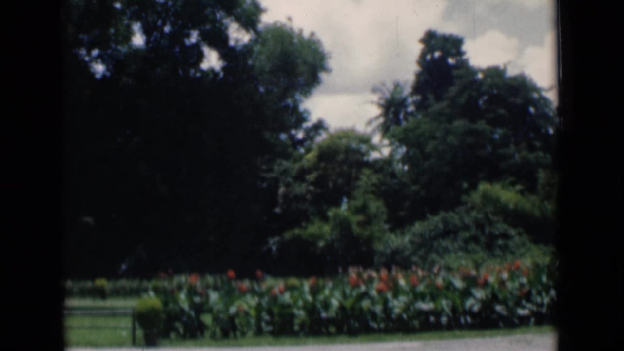 Lush garden with trees, flowering plants, and cloudy sky.