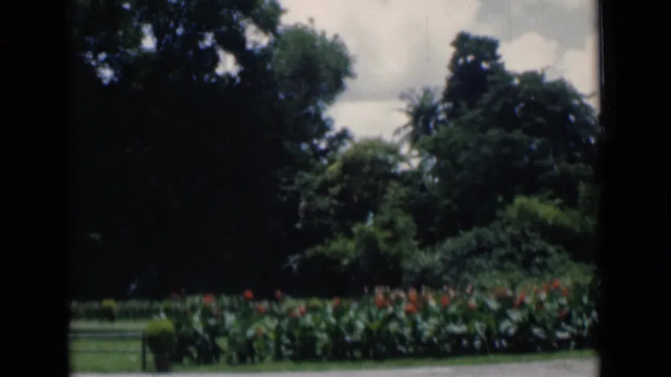 1946 Calcutta garden view with dense green trees, red flowering plants, lawn, and pale clouds in the sky.