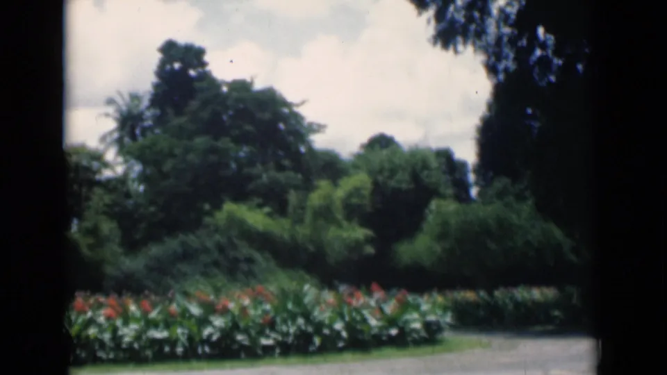 In this 8mm frame from Calcutta, a flower bed and dirt path sit below dense tropical foliage and a bright cloudy sky.