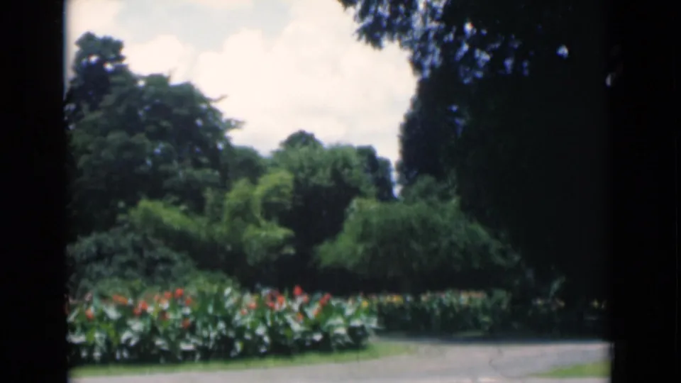 The final frame holds on a Calcutta garden with orange-red flowers, layered green shrubs, tall trees, and a dirt path visible at the edge.