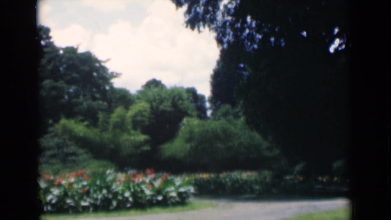 1946 Calcutta home-movie frame showing a shaded public garden path, dense trees, flower beds, and soft 8mm color.