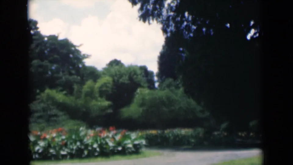 1946 Calcutta home-movie frame showing a shaded public garden path, dense trees, flower beds, and soft 8mm color.