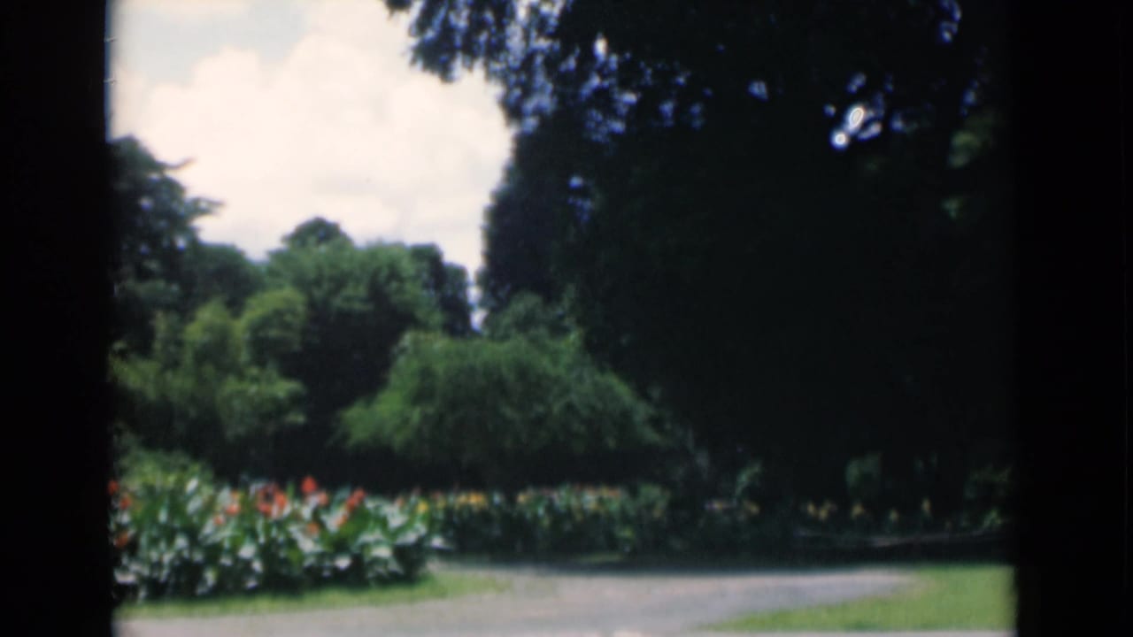 Park path bordered by trees and planting beds under bright sky.