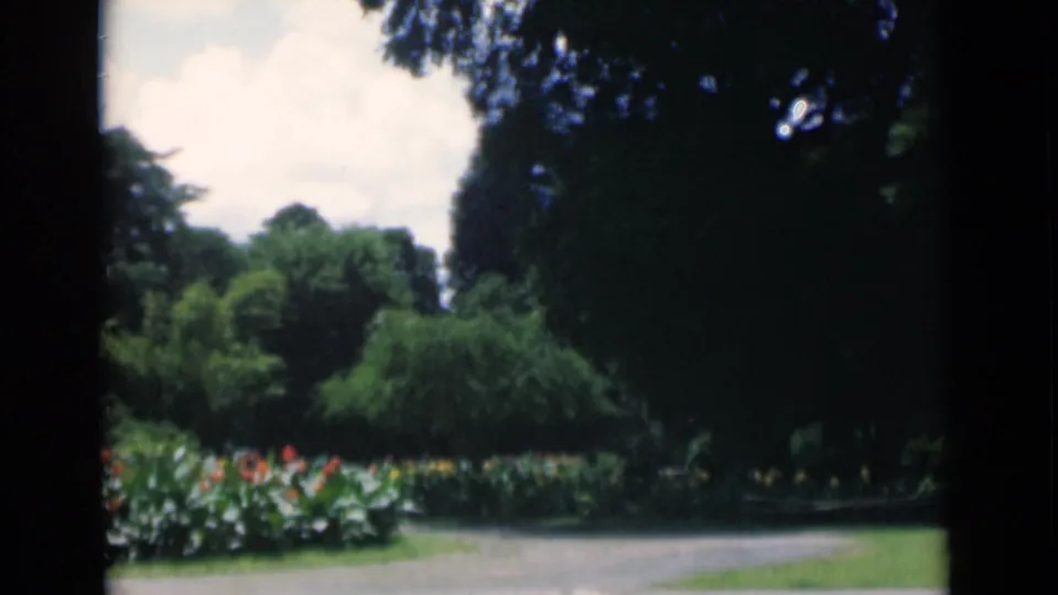 1946 Calcutta frame with a public garden walkway, thick greenery, flowering plants, and dark tree shade at the frame edges.