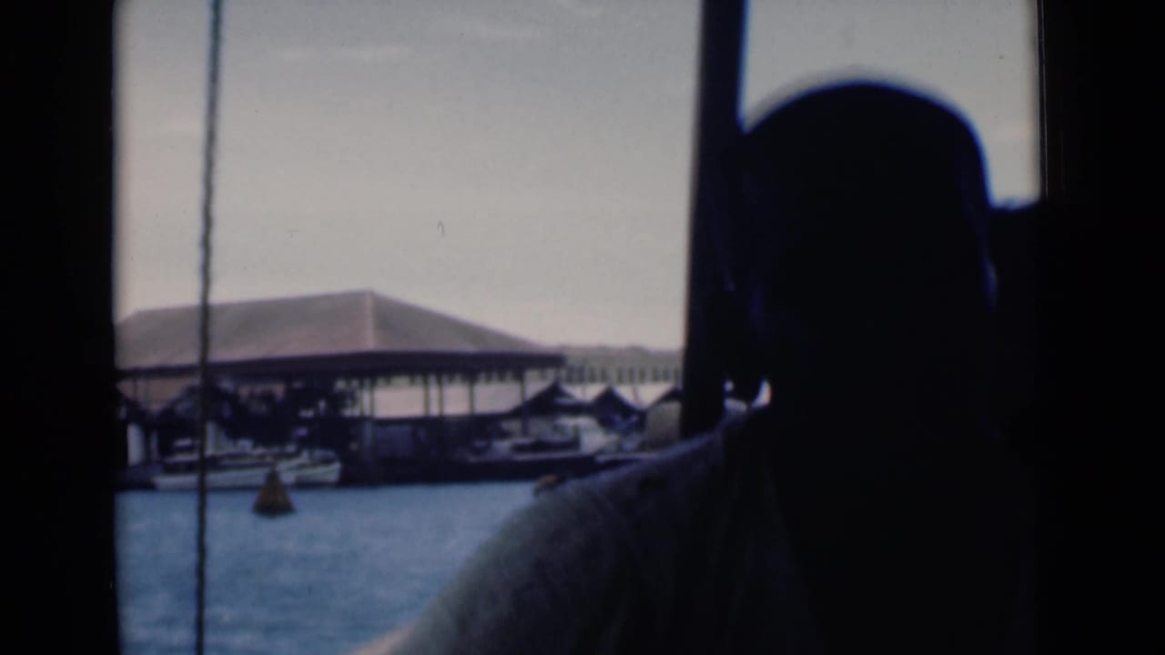 Silhouetted person inside a boat looking toward a harbor with covered waterfront structures.