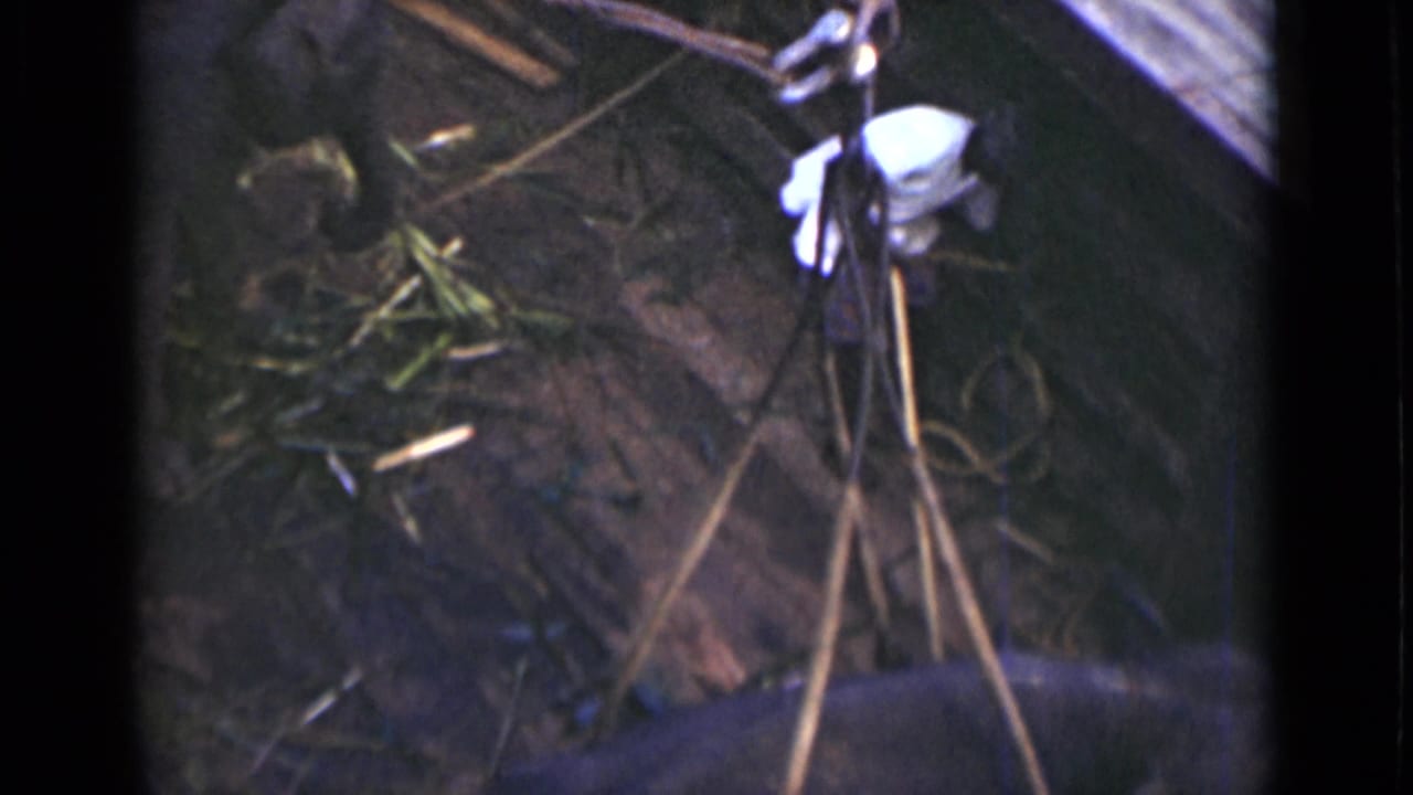 A caretaker-like figure in a white shirt works near bamboo as the young elephant remains partly visible in the 1946 Colombo scene.