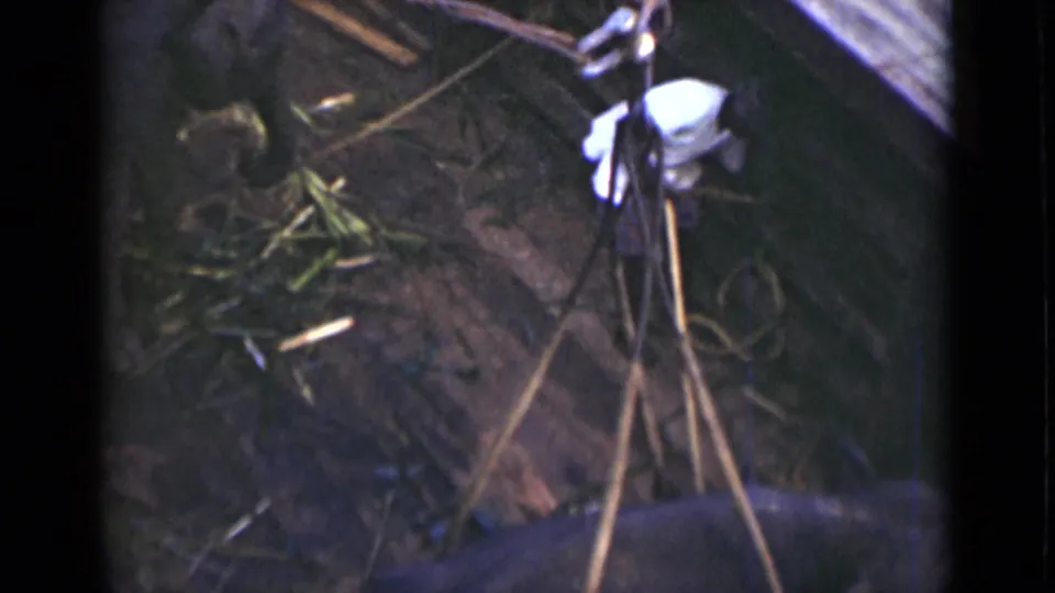 A caretaker-like figure in a white shirt works near bamboo as the young elephant remains partly visible in the 1946 Colombo scene.