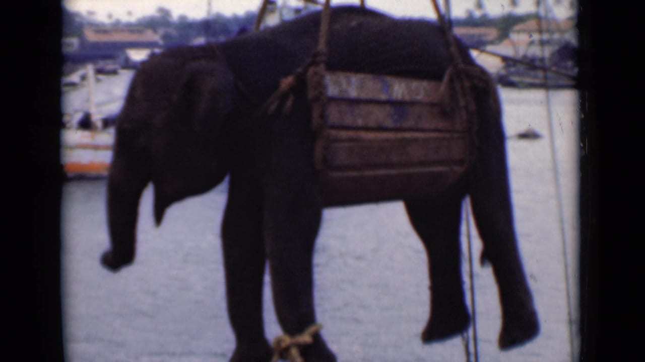 Suspended elephant with curled trunk above harbor water and boats.