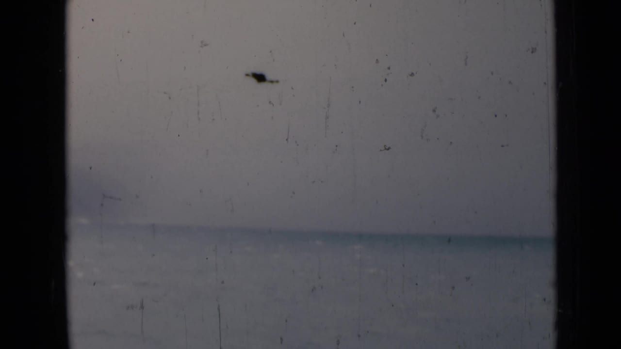 Distant waterline and pale sky obscured by grain and scratches.