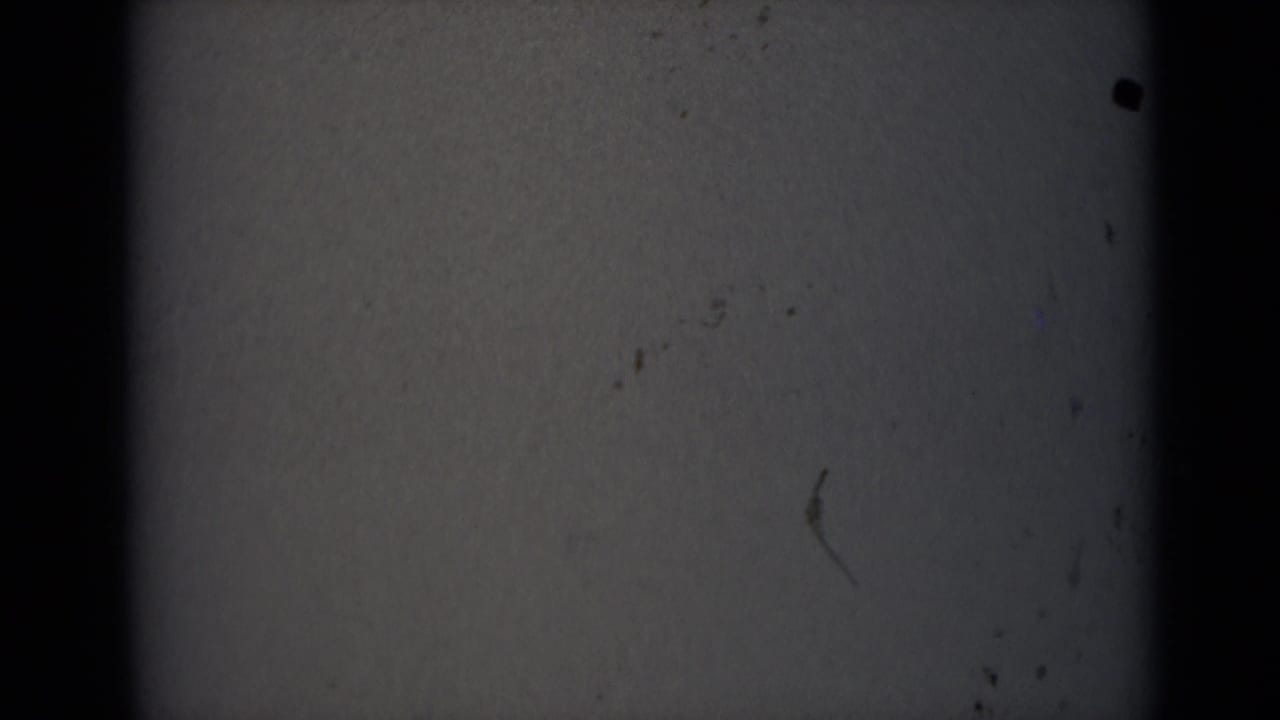 Grey film static with black vertical frame edges, dust specks, and a faint horizontal line.
