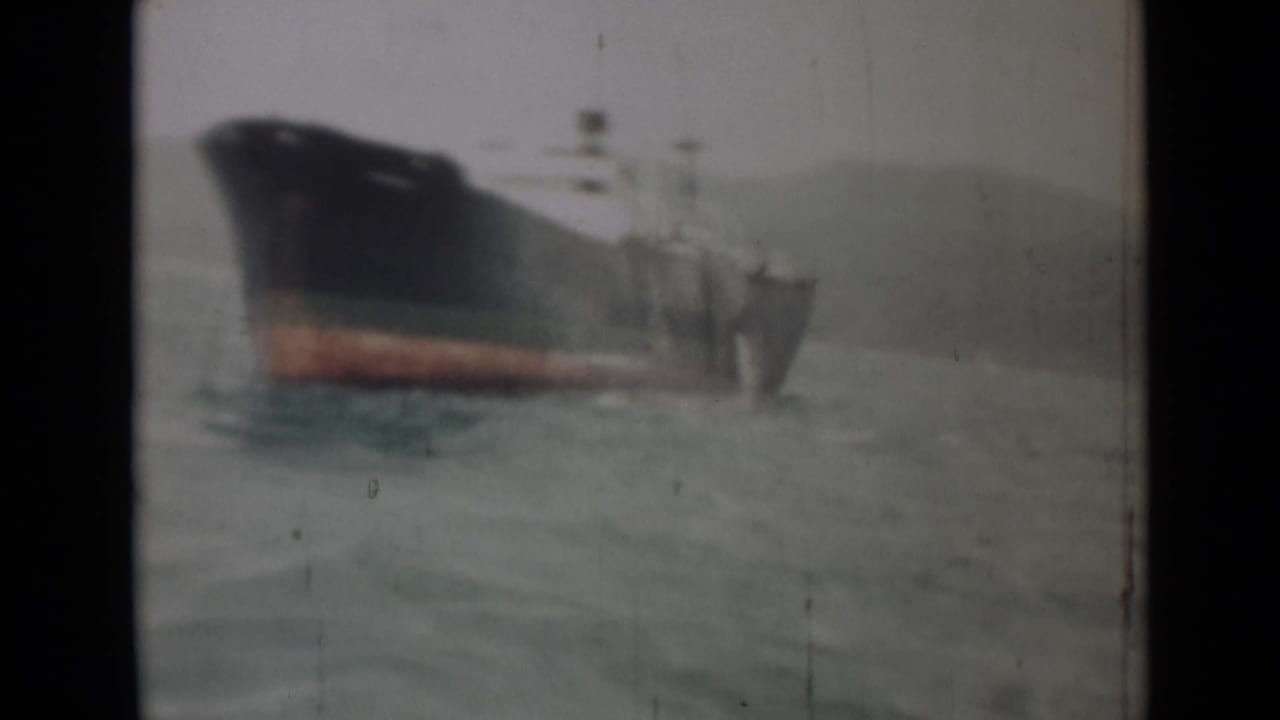 Large dark-hulled cargo ship on rough water with land faintly visible behind it.