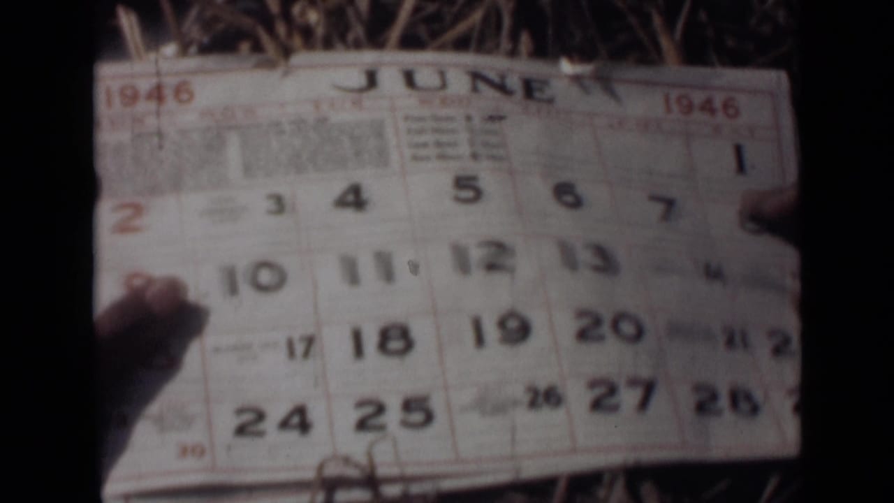 Hands hold a June 1946 calendar page close to the camera, with grass or brush visible behind it.